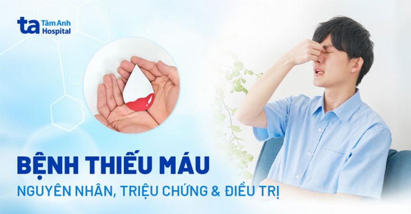 Một bên là hình ảnh bát thức ăn tự nấu đầy màu sắc, một bên là bát hạt thức ăn công nghiệp, kèm theo các biểu tượng ưu/nhược điểm để so sánh trực quan.